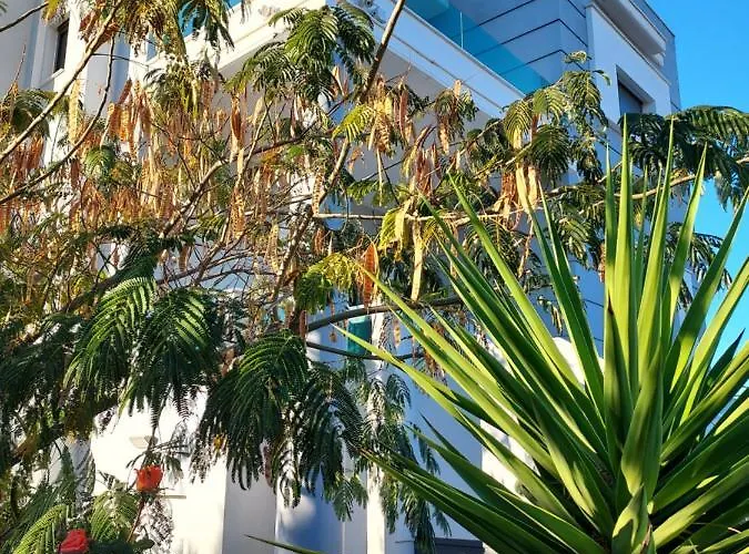 Maria Luxury * Lechaio